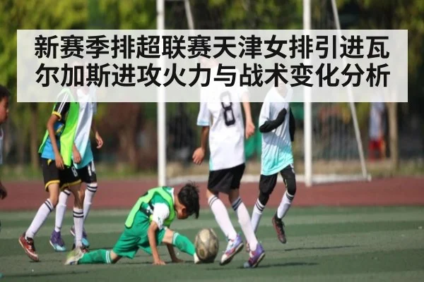 新赛季排超联赛天津女排引进瓦尔加斯进攻火力与战术变化分析