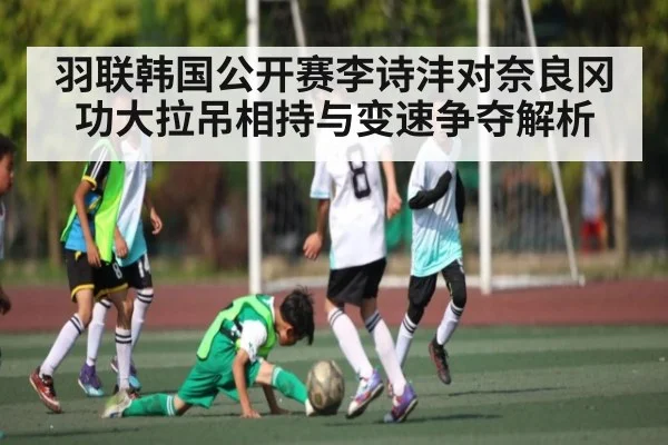羽联韩国公开赛李诗沣对奈良冈功大拉吊相持与变速争夺解析